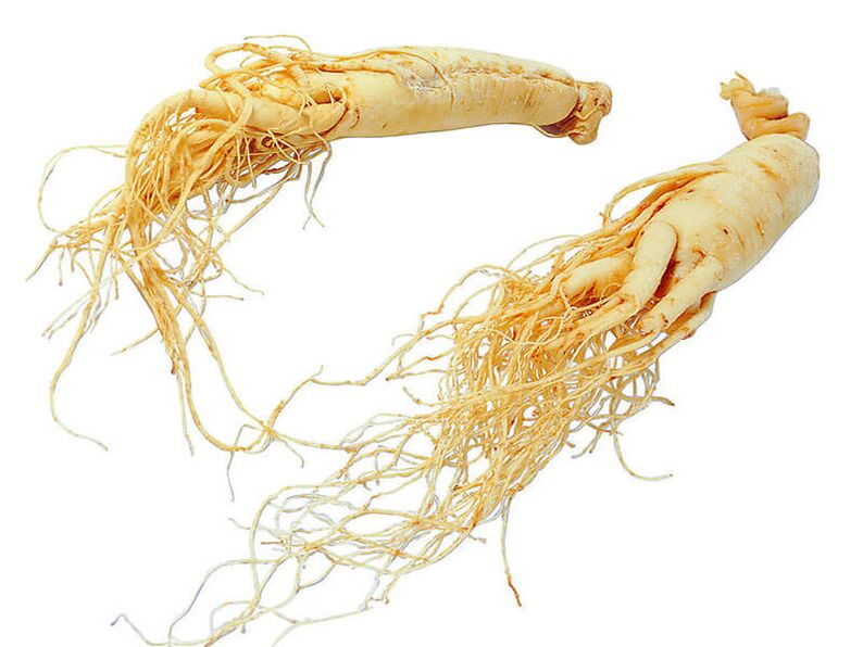 ginseng root for effectiveness