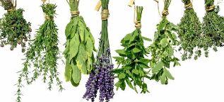 herbs for power