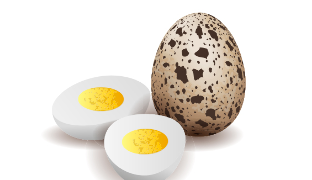 The quail eggs